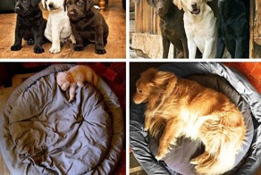 Как же быстро они растут