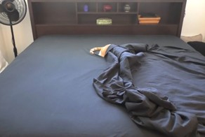 Как заправить постель, если у вас живет кот