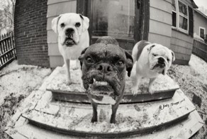 Фотоприкол недели