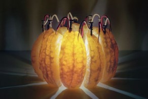 Прикол картинка