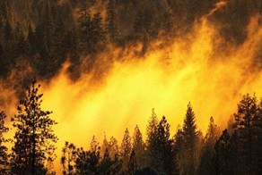 Пожар в зоне ЧАЭС!
