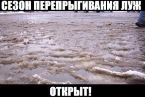 Смешная фотогалерея