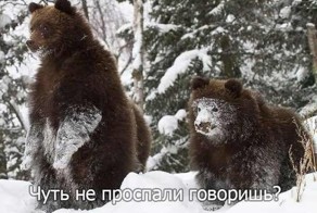 Фотка
