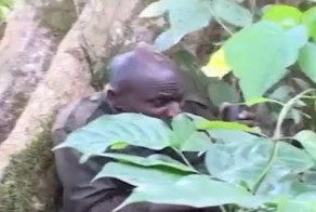 Захватывающий боевик из Уганды