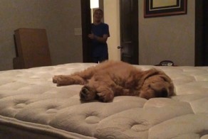 Реакция девушки на подаренного щенка