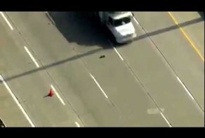 Утка с утятами перебегают через дорогу