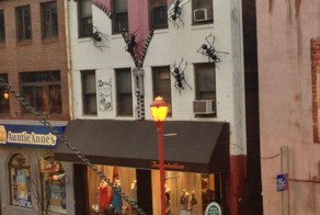 Фото прикол