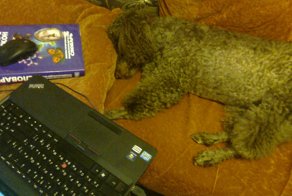 Заработался, но программу закончил