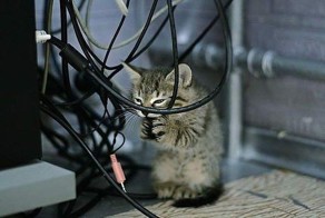 Высокоскоростной интернет