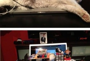 Фотоподборка