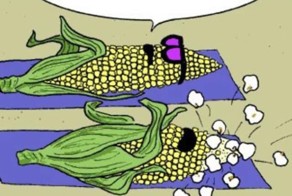 Фотоприкол онлайн бесплатно