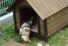 Улетное фото