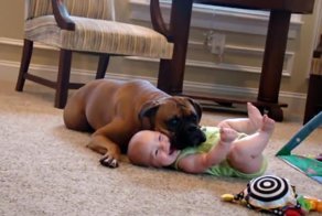 Любовь к малышу