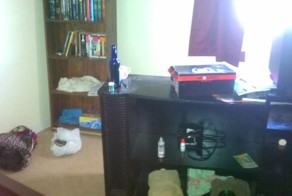 Оставил жену следить за домом (24 фото)