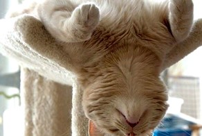 Не беспокоить!