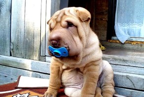 Я ещё совсем маленький.