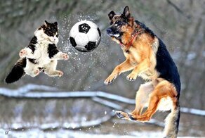 Вот это футбол!