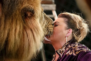 Животные в фотографиях