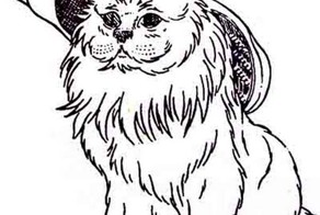 Расчесать кошку 