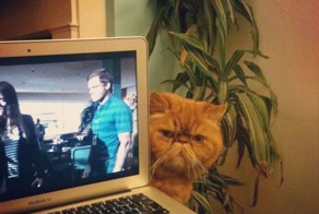 Шикарное фото