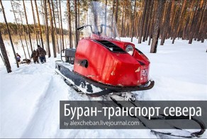 Буран - трудяга русского севера (37 фото)