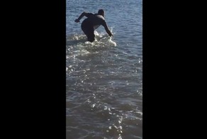 Австралиец поймал акулу голыми руками