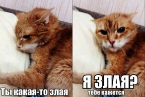 12 женских косяков