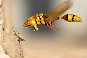 Фото прикол