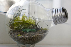 20 маленьких садов, которые поместятся в ладошке