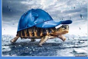 Очень модная красавица!