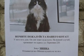 Прикольное объявление