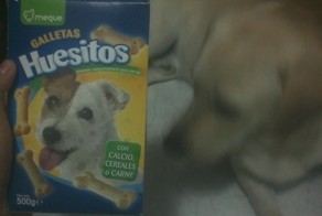 Любимому собакену только лучшее