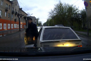 Рязанское бычьё на дороге