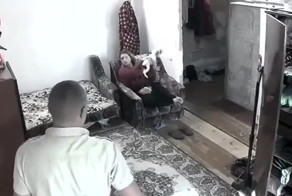 Кот вообще не ожидал 