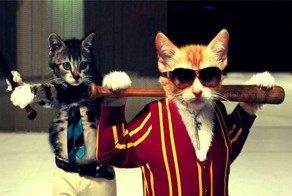 Фотоприкол фото