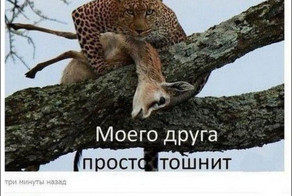 Смешные комментарии из социальных сетей 07.05.15