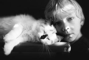 Мальчики и их кошки