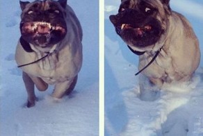 Фотоприкол фото