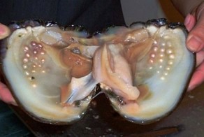 Фотоприкол