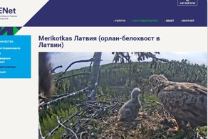 Жизнь продолжается