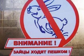 Подборка интересных фактов