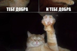 Вот это поворот