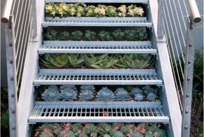 Фотоприкол онлайн бесплатно