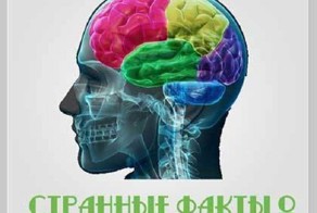 Интересные факты о человеческом разуме и мышлении