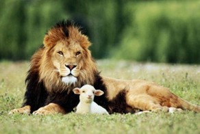 Друзья когда я сыт