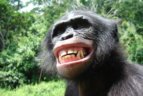 Мой сосед по даче