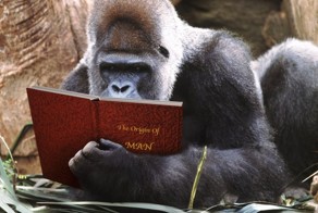 Чтобы знать о тебе ВСЕ