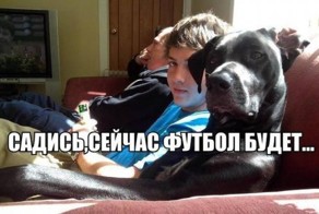 Прикольные фото