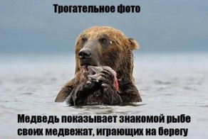 Позитив в картинках