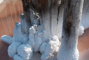 Одесса , Куяльник